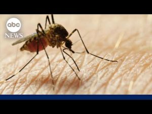 Read more about the article ‘Nightmare bacteria’ cases are increasing in the US
