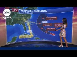 Read more about the article Developing storm may hit Carolinas as a hurricane next week