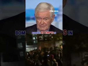 Read more about the article Newt Gingrich: 2020 violence ‘DOESN’T COUNT’ for the Left #shorts #usa #us #politics #foxnews