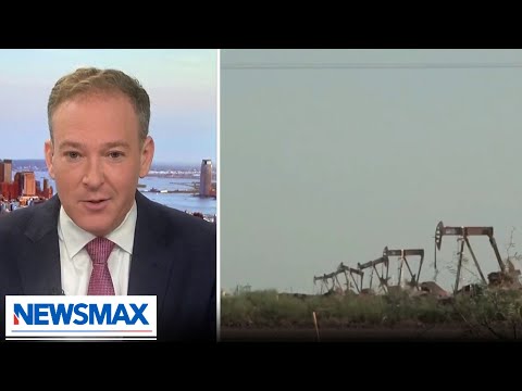 You are currently viewing Green policies cause blue states to lose revenue: Lee Zeldin | The Chris Salcedo Show