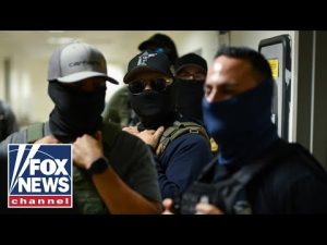 Read more about the article ICE official BLASTS media for publicizing agent tracking apps: ‘I TOLD YOU SO’