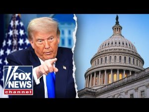 Read more about the article Trump blames Dems ahead of possible shutdown: ‘They want to shut it down’