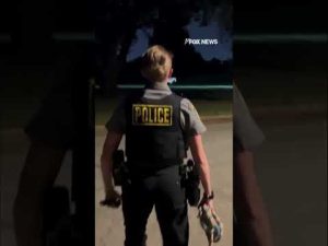 Read more about the article RUNAWAY PONY: Horse leads police on wild chase across golf course #shorts #cute #animals #usa #pony