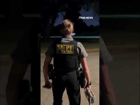 You are currently viewing RUNAWAY PONY: Horse leads police on wild chase across golf course #shorts #cute #animals #usa #pony