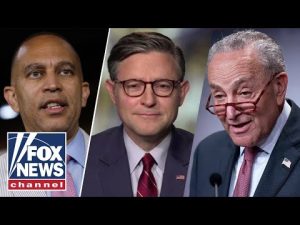 Read more about the article Mike Johnson: There is only ONE reason the Dems are doing this