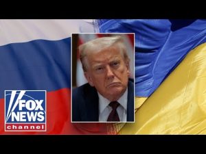 Read more about the article Trump envoy reveals ‘biggest concern’ amid Ukraine war: ‘Mistake can happen’