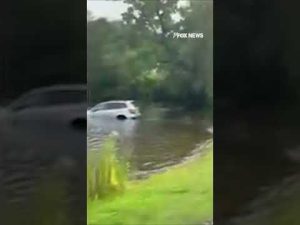 Read more about the article Anti-ICE protester’s car SINKS while yelling at agents #shorts #foxnews #news #us