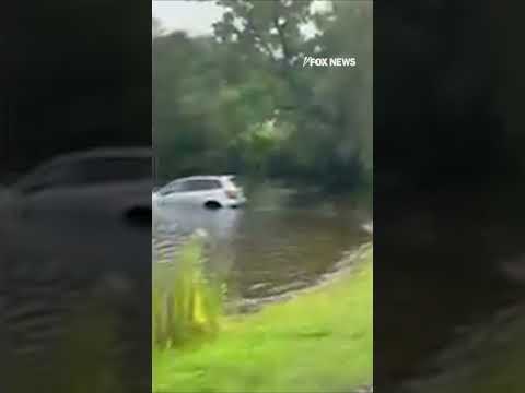 You are currently viewing Anti-ICE protester’s car SINKS while yelling at agents #shorts #foxnews #news #us