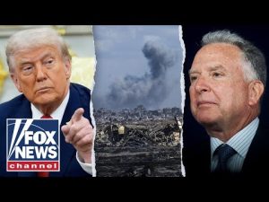 Read more about the article ‘GROUNDBREAKING’: Trump special envoy shares details of Gaza peace proposal