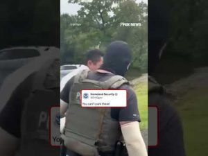 Read more about the article SEE IT: ICE and DHS react to an anti-ICE protester who forgot to put her car in park #shorts #usa
