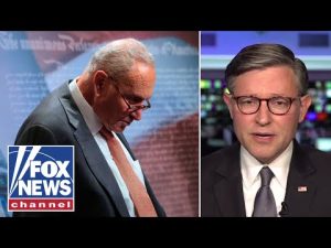 Read more about the article ‘SHAMELESS HYPOCRISY’: This is a CRAZY thing to watch, Speaker Johnson says