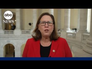 Read more about the article Republicans are ‘willing to play chicken’ on shutdown: Rep. Johnson