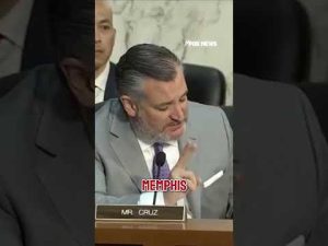 Read more about the article Sen. Ted Cruz: ‘Democrat crime policies kill people’ #shorts #foxnews #usa #us #politics