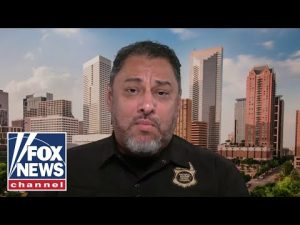 Read more about the article ‘JUDICIAL ACTIVISM’: Border expert slams federal judges for stymying Trump immigration crackdown