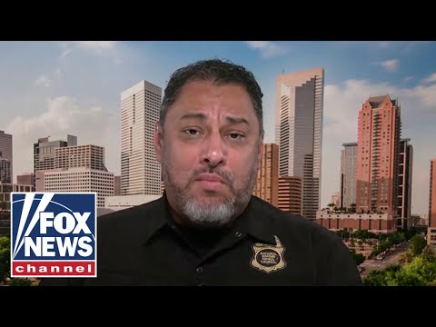 You are currently viewing ‘JUDICIAL ACTIVISM’: Border expert slams federal judges for stymying Trump immigration crackdown