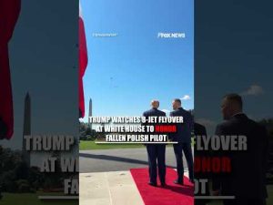 Read more about the article WATCH: Trump views eight-jet flyover in honor of fallen Polish pilot #shorts