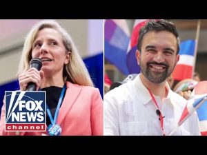 Read more about the article ‘FAKE’: Democrat ripped for claiming to be ‘anti-Mamdani’