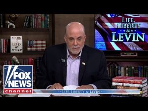 Read more about the article Levin: Dems are in a ‘CONSTANT state of SABOTAGE’
