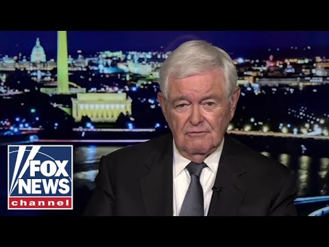 Read more about the article Newt Gingrich: These guys are ‘CRAZY’