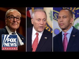 Read more about the article Steve Scalise: Democrats need to ‘END THIS MADNESS’ immediately