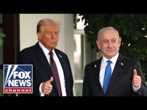 Read more about the article ‘INCREDIBLE’: Expert says Trump’s Gaza deal could ‘open a new chapter’