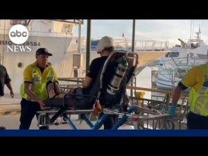 Read more about the article Man survives bite to the head from shark