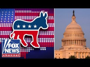 Read more about the article ‘NO DOUBT ABOUT IT’: Dems blasted for putting ‘partisan’ politics first amid shutdown
