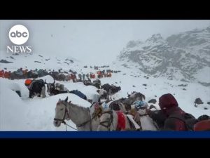 Read more about the article Mount Everest snowstorm leaves hundreds of hikers trapped