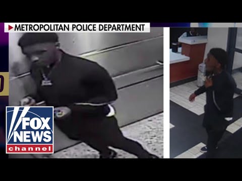 You are currently viewing NEW: Photos released of suspect in congressional intern’s murder