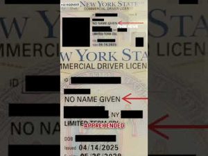 Read more about the article Illegal migrant apprehended with SHOCKING words on NY driver’s license
