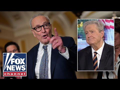 Read more about the article ‘WHEN DONKEYS FLY’: Kennedy brushes off Dems’ shutdown demand