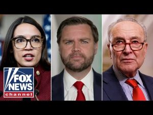 Read more about the article ‘ASTONISHING’: JD Vance calls out Democrats’ hypocrisy