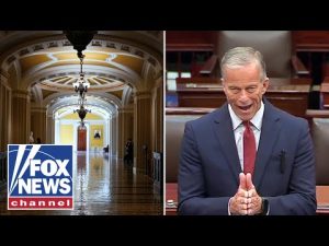 Read more about the article WATCH: Sen. John Thune takes Senate floor amid shutdown battle