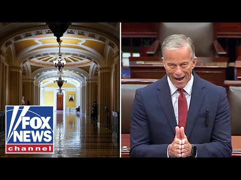 Read more about the article WATCH: Sen. John Thune takes Senate floor amid shutdown battle