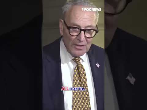 Read more about the article WATCH: Chuck Schumer says Republicans need to ‘seriously negotiate with Democrats’ #shorts #news
