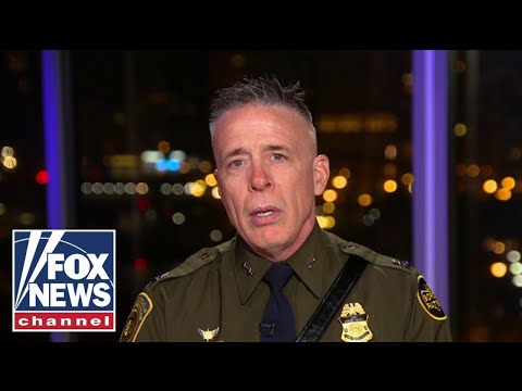 Read more about the article Chicago police are ‘handicapped beyond belief,’ says CBP chief patrol agent