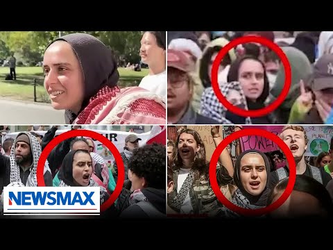 Read more about the article Independent journalist exposes professional anti-Israel protesters | National Report
