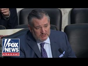 Read more about the article Ted Cruz BLASTS ‘left-wing’ judge for lax sentencing: ‘IMPEACH’