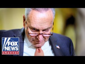Read more about the article Schumer ROASTED for wanting to ‘play political games’