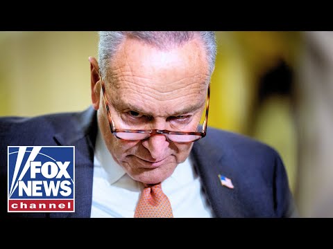 Read more about the article Schumer ROASTED for wanting to ‘play political games’