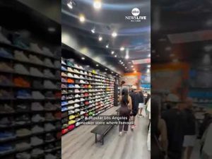 Read more about the article $500,000 worth of sneakers stolen from train