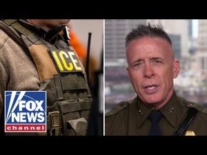 Read more about the article ‘WE’RE COMING’: CBP agent vows to ‘continue’ deporting illegal migrants