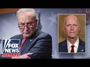 Read more about the article Democrats BLASTED over shutdown: This is all about ‘how to hurt Trump’