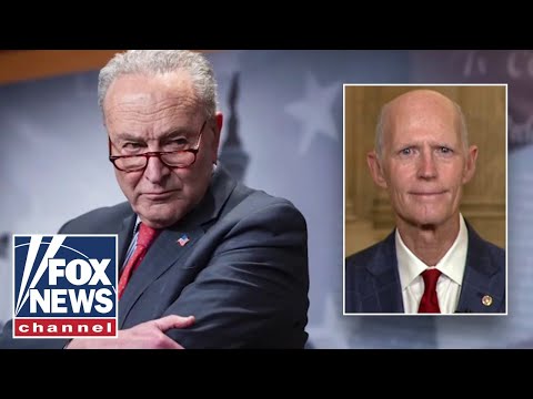 You are currently viewing Democrats BLASTED over shutdown: This is all about ‘how to hurt Trump’