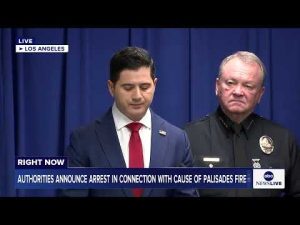 Read more about the article Man, 29, charged in connection with igniting Palisades Fire that killed a dozen people