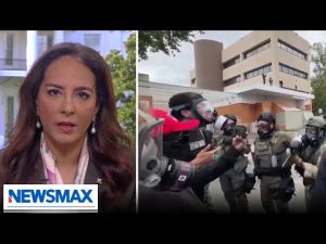 Read more about the article Antifa is scary, direct threat to national security: Harmeet Dhillon | The Chris Salcedo Show