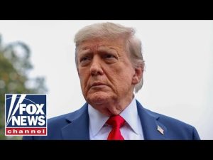 Read more about the article Pro-Israel activist sings Trump’s praises after ‘historic’ Gaza peace deal