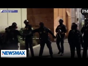 Read more about the article Democrats want to protect and prioritize groups like Antifa: Marino | American Agenda