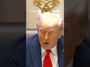 Read more about the article Trump: ‘Gasoline’s gonna be BELOW $2’