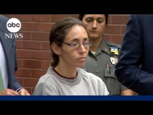 Read more about the article Connecticut mom allegedly attempted to murder father of child with antifreeze: Police